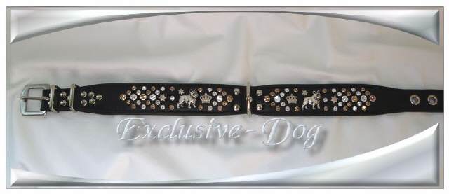 Bild vergr&ouml;&szlig;ern