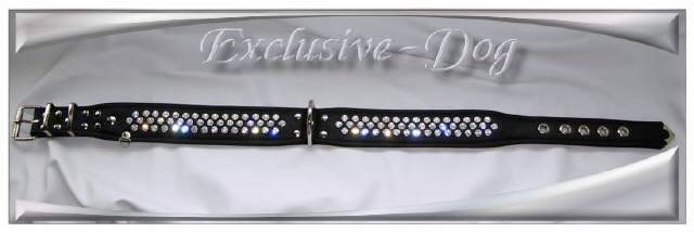 Bild vergr&ouml;&szlig;ern