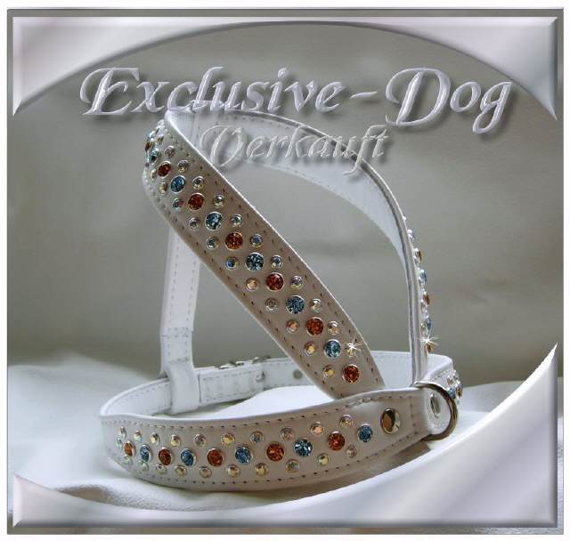 Bild vergr&ouml;&szlig;ern