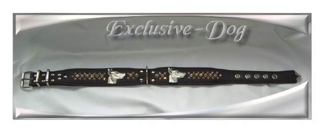 Bild vergr&ouml;&szlig;ern