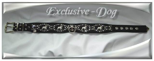 Bild vergr&ouml;&szlig;ern