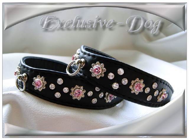 Bild vergr&ouml;&szlig;ern