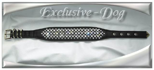 Bild vergr&ouml;&szlig;ern