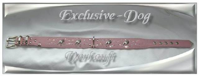 Bild vergr&ouml;&szlig;ern